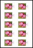 FRG MiNo. FB 8 (2716) ** Flowers (XIX): Carthusian carnation, self-adh., MNH